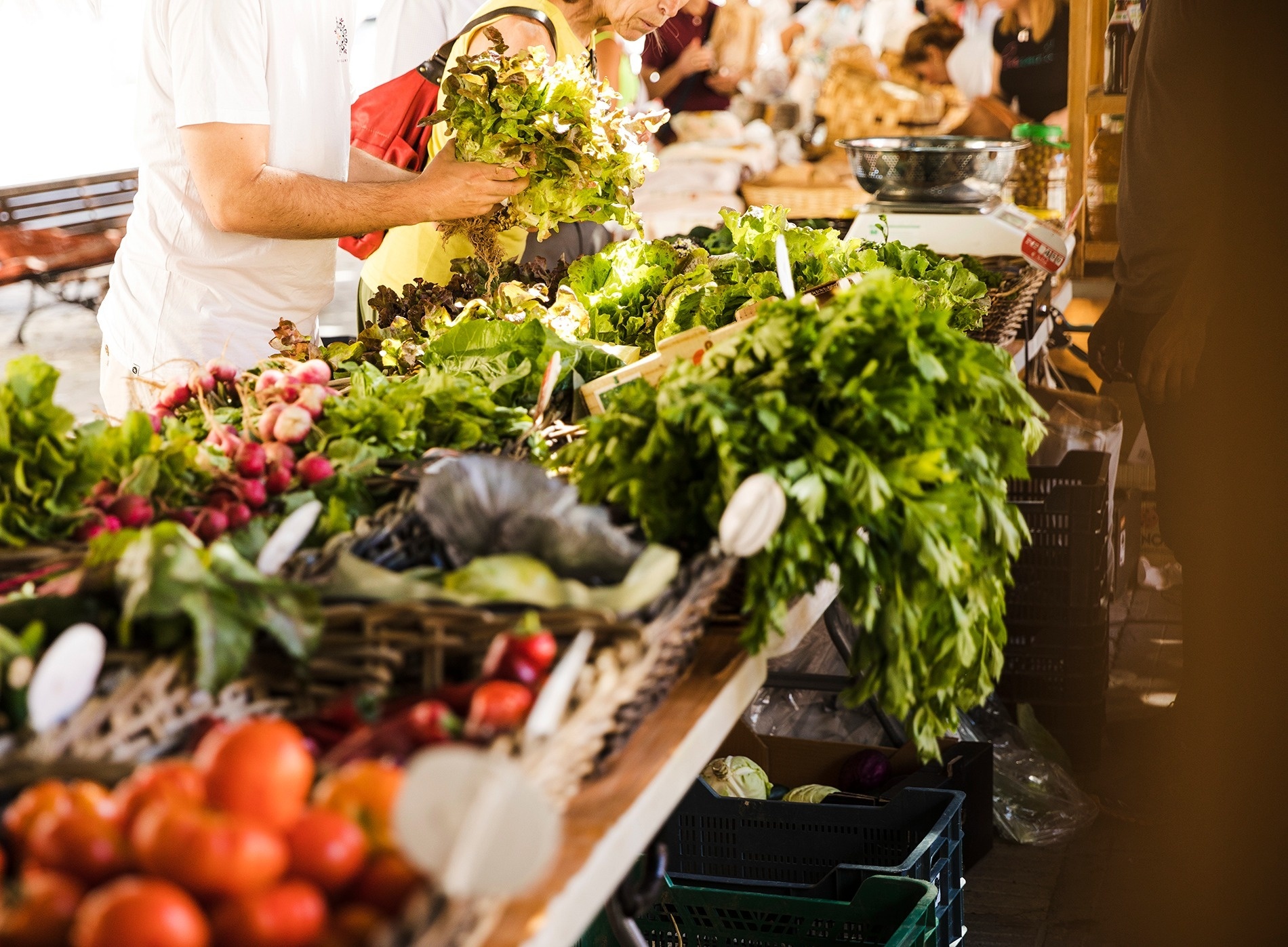 Ecologic markets in Mijas