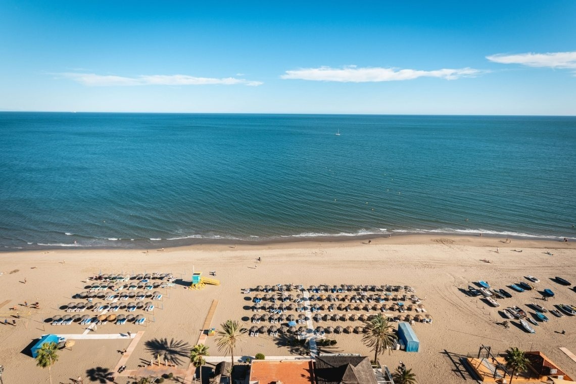 une plage avec beaucoup d' ombrelles et de palmiers