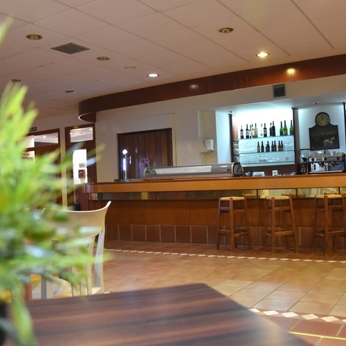 a bar in a restaurant with a plant in the foreground