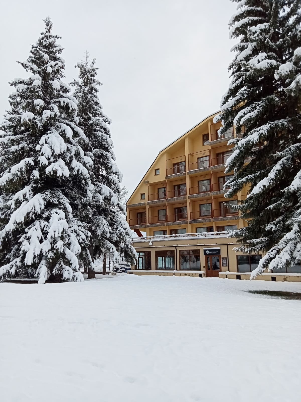 un edificio de apartamentos cubierto de nieve junto a árboles cubiertos de nieve