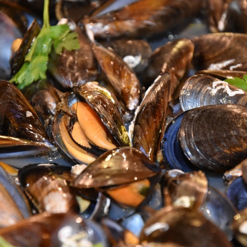 a bunch of mussels are sitting on a table