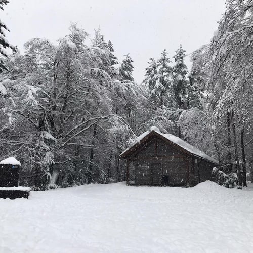 una cabaña en medio de un bosque cubierto de nieve