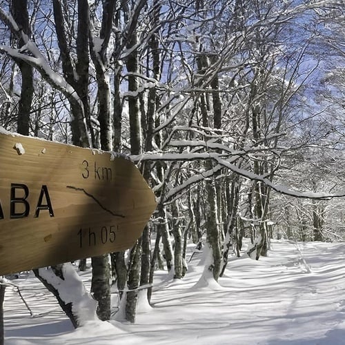 una señal de madera en un bosque cubierto de nieve que dice isaba