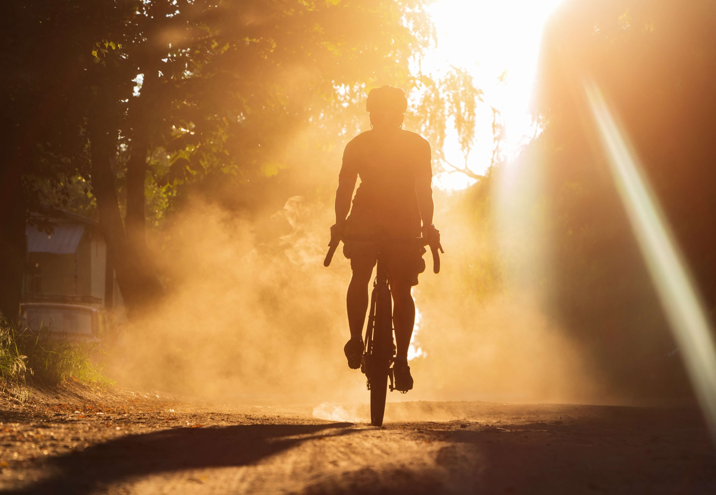 un homme fait du vélo sur une route avec des arbres en arrière-plan