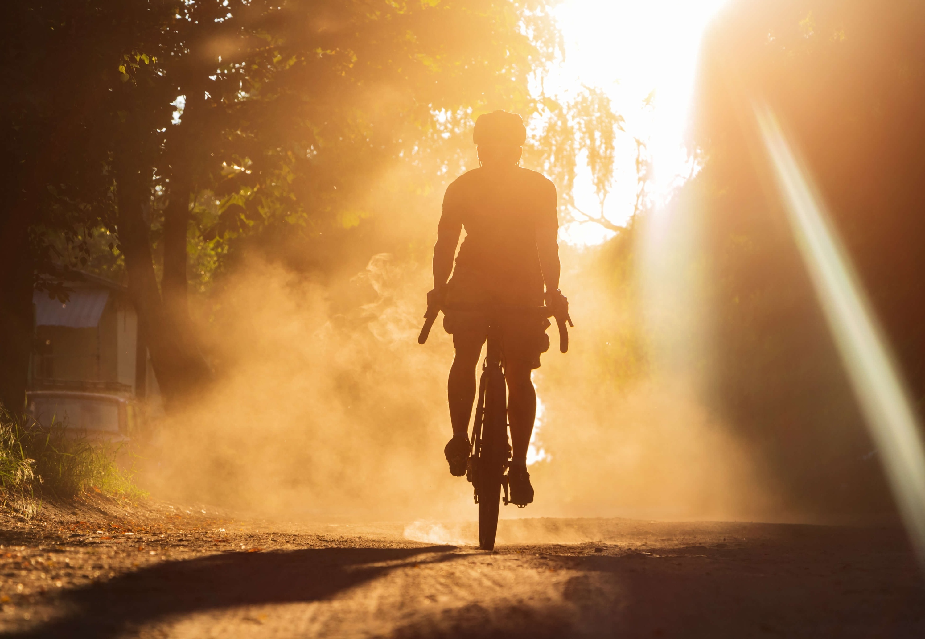 un homme fait du vélo sur une route avec des arbres en arrière-plan