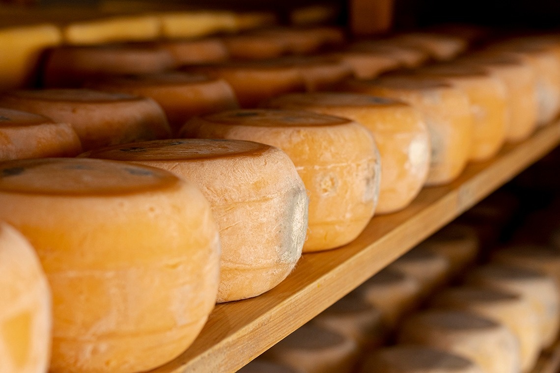 a row of cheese wheels are lined up on a wooden shelf
