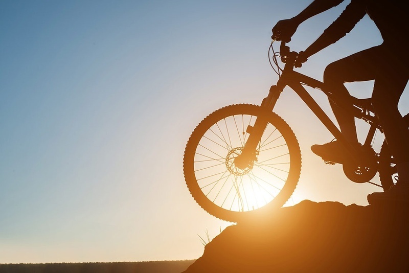 BIKE RENTAL