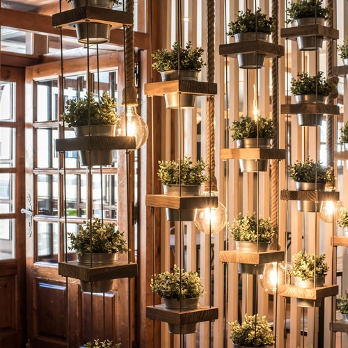una paret de fusta amb pots de plantes i llums
