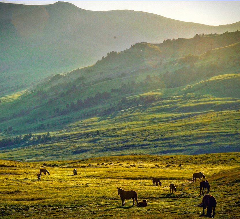 Hotel SNO Mont Romies