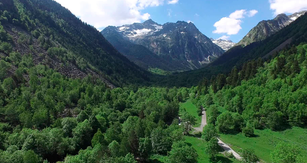 una carretera a través d' un paisatge d' arbres i montagnes