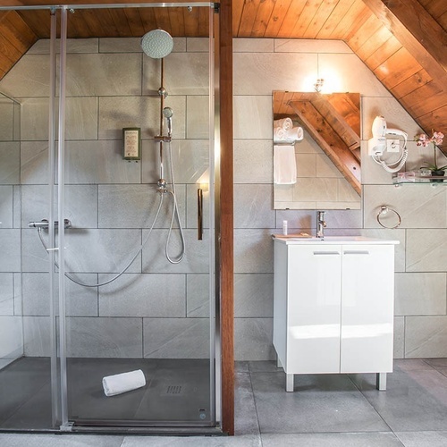 a bathroom with a walk in shower and a sink