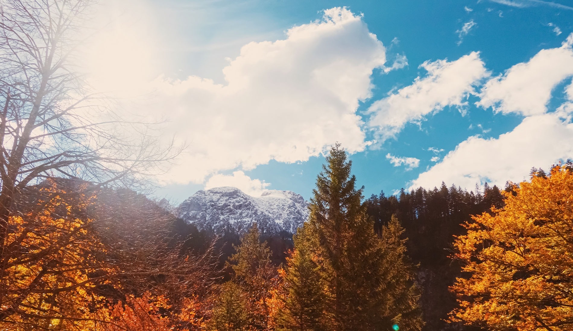a large swimming pool surrounded by a white picket fence