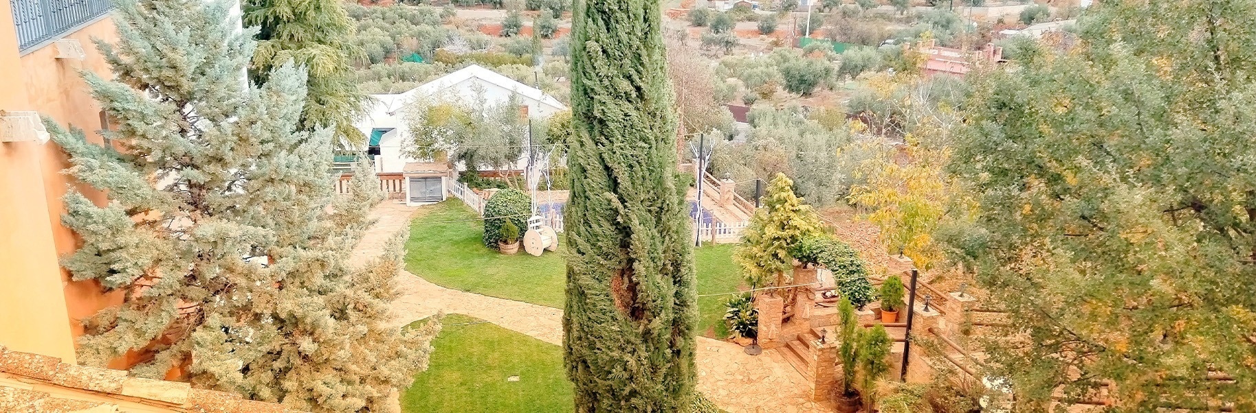 un patio con árboles y una casa en el fondo