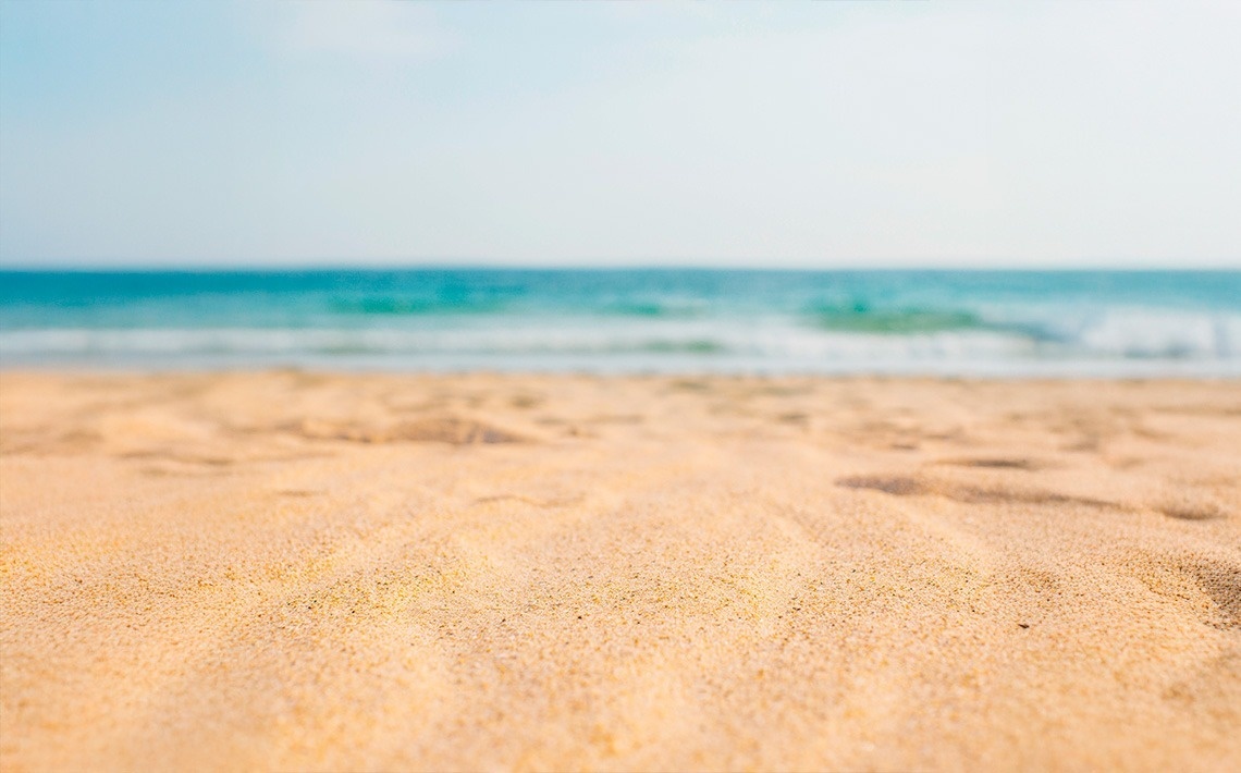 Servicios Especiales Verano 2025