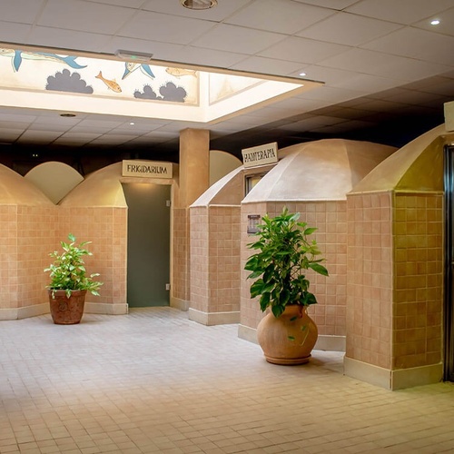 una habitación con plantas y una puerta que dice hammam