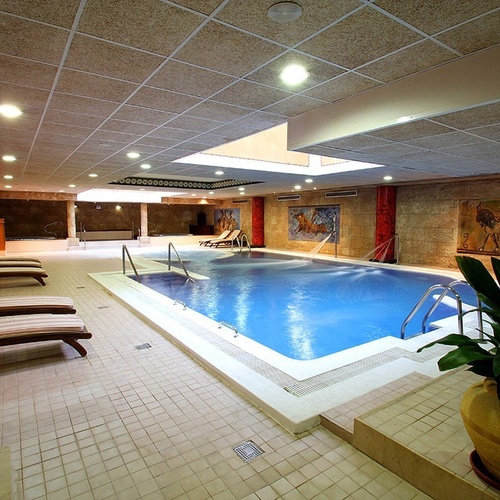 una piscina en un spa con sillas y una planta