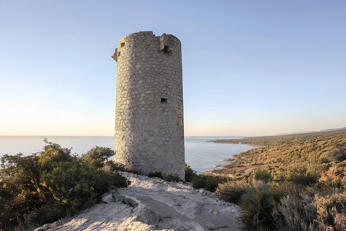 un mostrador de comida en un restaurante con la palabra salteados encima