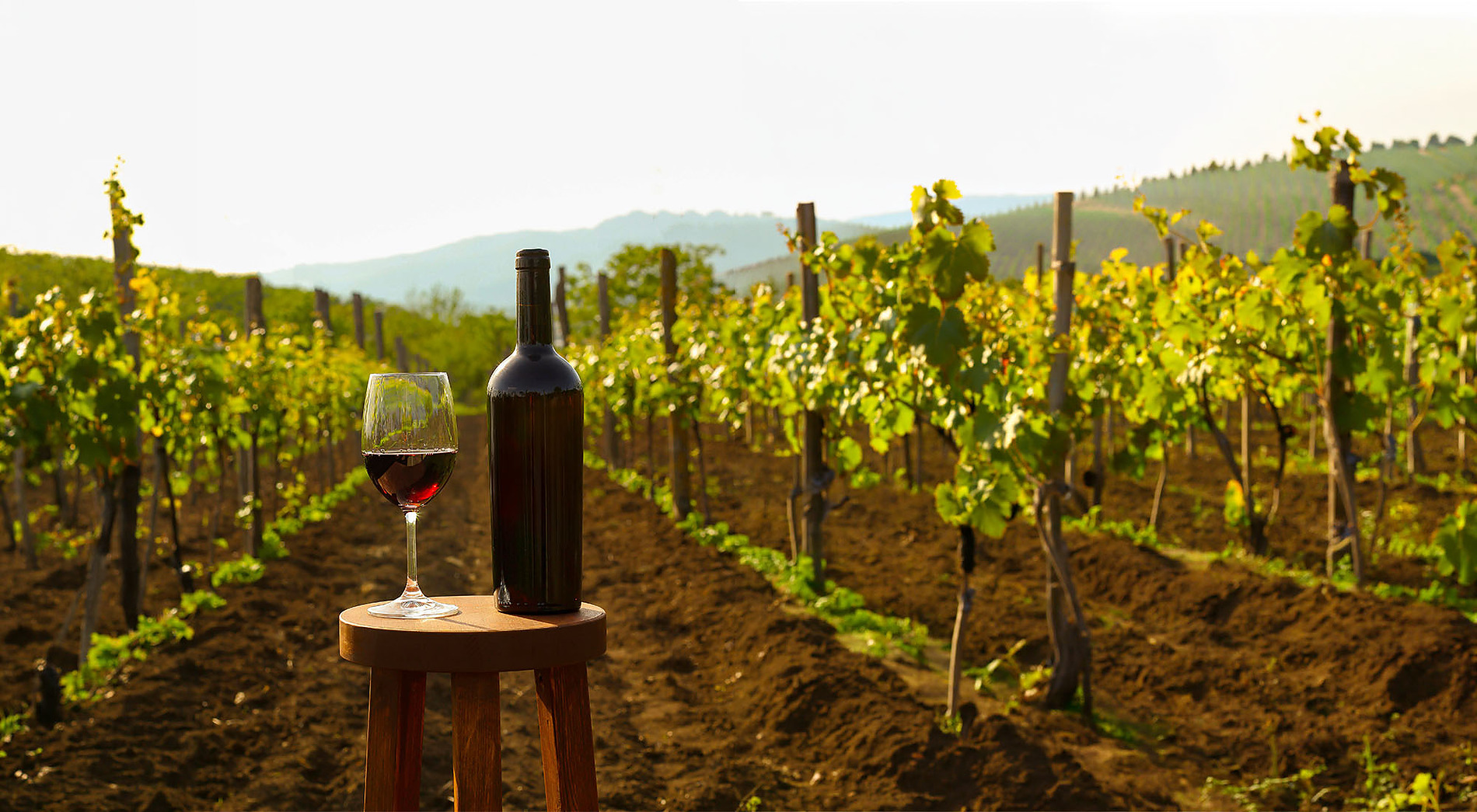Feria del Vino 2026 en Hotel & Spa Peñíscola Plaza Suites: copa y botella de vino en un viñedo al atardecer.