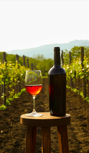 Peñíscola Plaza Suites - Wine Fair in December. Experience sensations!