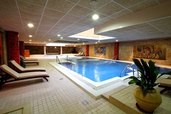 una piscina grande con sillas y una planta
