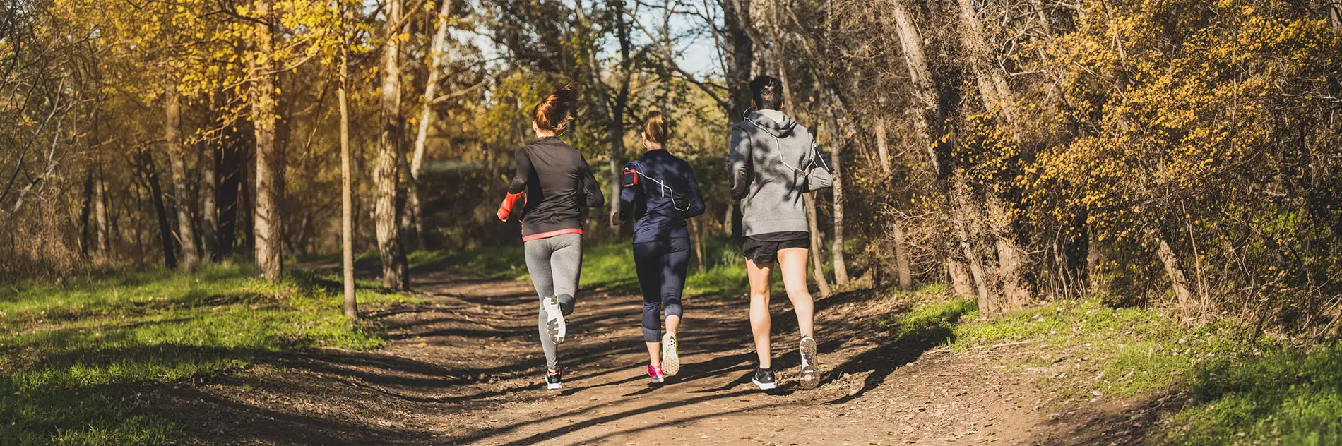 ZT Hotel & Spa Peñíscola Plaza Suites SUP: Tres personas corriendo en un bosque con árboles amarillos, una ruta de senderismo perfecta para hacer ejercicio.